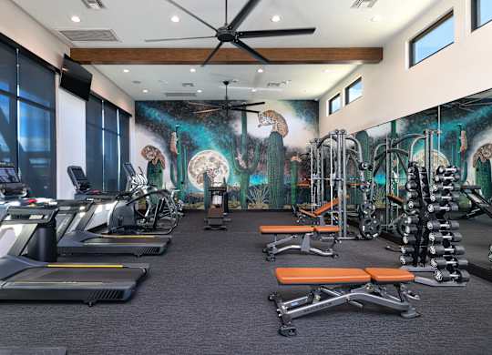 A gym with treadmills, weights, and exercise equipment.