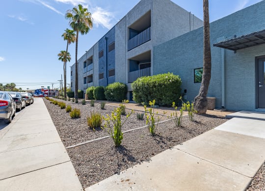 Landscaping at Arcadia Lofts in Phoenix AZ Nov 2020