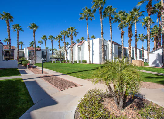 Landscaping at Townhomes on the Park in Phoenix Arizona
