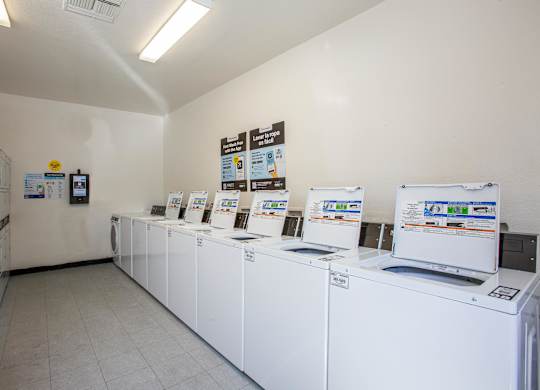 A laundromat with rows of washers and dryers.