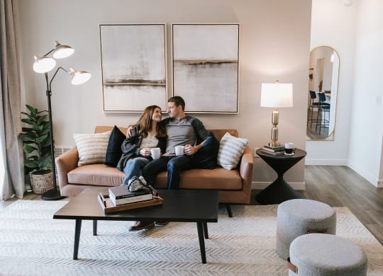 Living Room at The Aster at Mountain Vista in Mesa Arizona