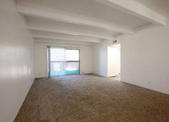 Living Room with Carpet at Los Altos Towers Apartments in Albuquerque NM