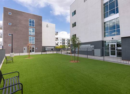 A grassy area in front of a building with a tree and bench.