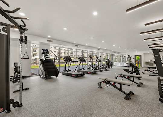 A spacious gym with a variety of equipment including treadmills, weights, and exercise machines.