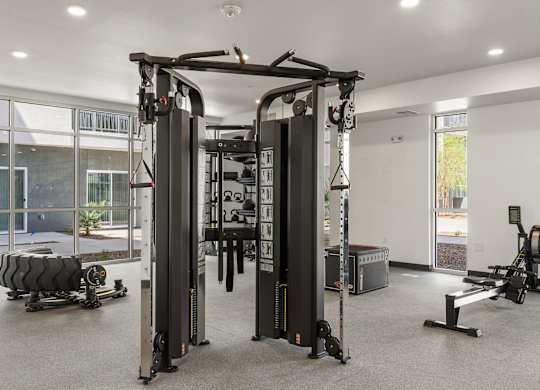 A gym with a squat rack, a bench, and a rowing machine.