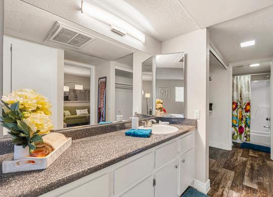 one bedroom bathroom and closet at Villa Toscana Apartments in Phoenix Arizona