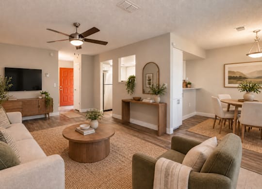 A living room with a grey couch, a coffee table, and a television.
