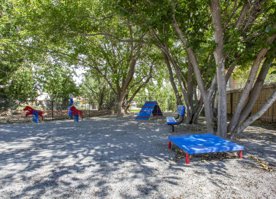 Pet Obstacle Course
