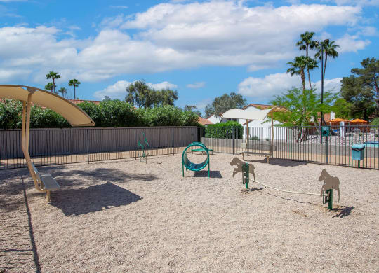 Pet Park at Orange Tree Village Apartments in Tucson AZ