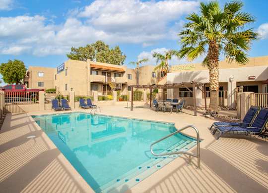 A pool surrounded by chairs and a palm tree.