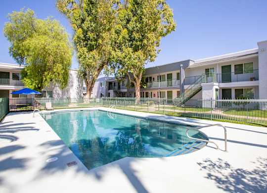 A swimming pool in a sunny backyard.