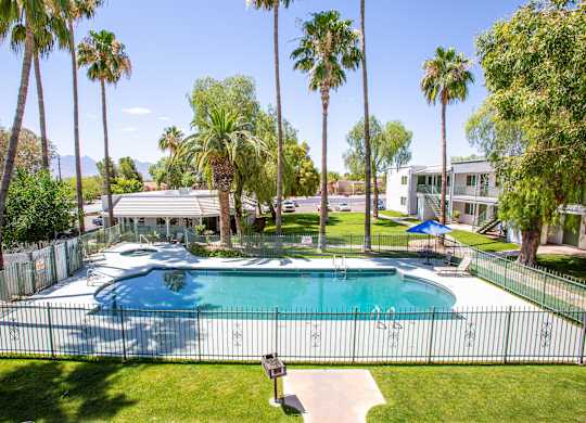 A pool surrounded by a fence and palm trees.