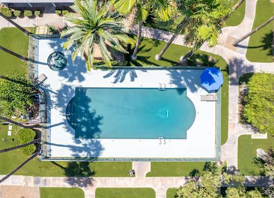 A swimming pool surrounded by palm trees and a white fence.