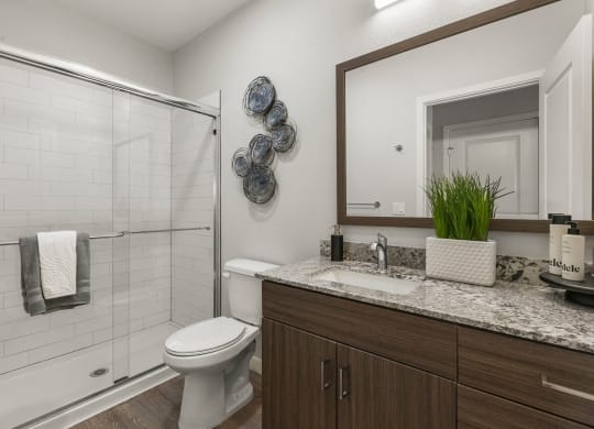 Spacious Bathroom at Tucson Landing, Tucson, AZ 85714  