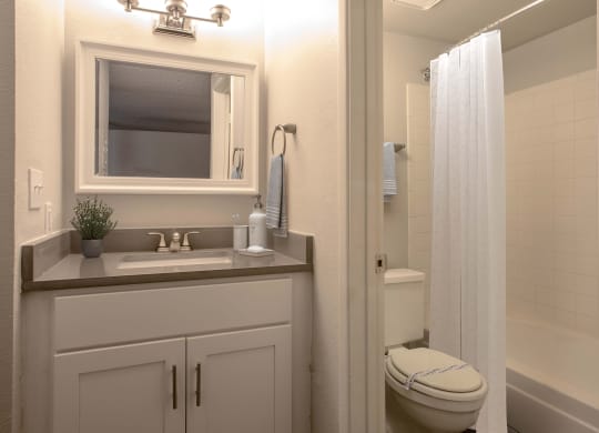 Studio Bathroom at The Link at 4th Ave Apartments in Tucson