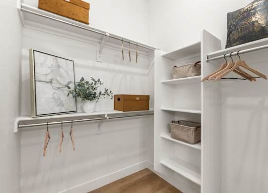 A white closet with a picture frame, a plant, and a brown box on the shelf.