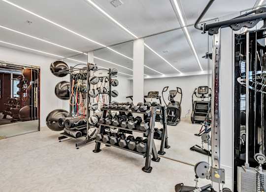 a gym with weights and cardio equipment in a home at The Meriden, Meriden, 06450