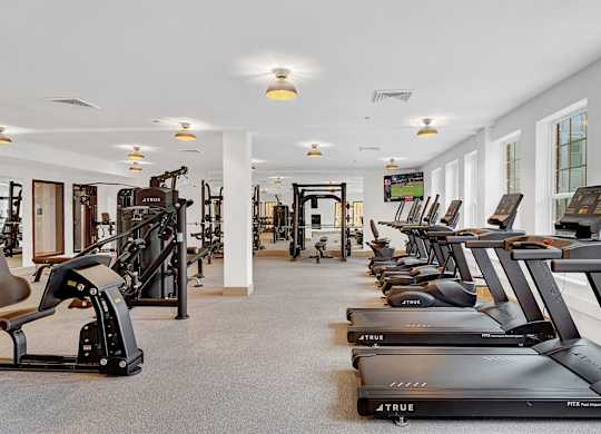 A gym with treadmills and other exercise equipment.
