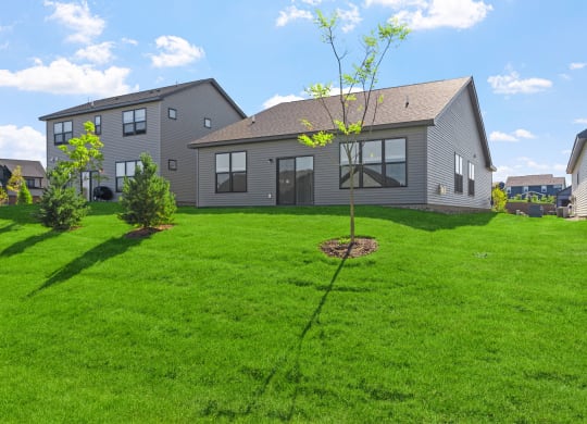 a home with a small tree in the front yard