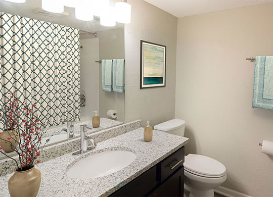 Element at Valley West _ Renovated Bathroom