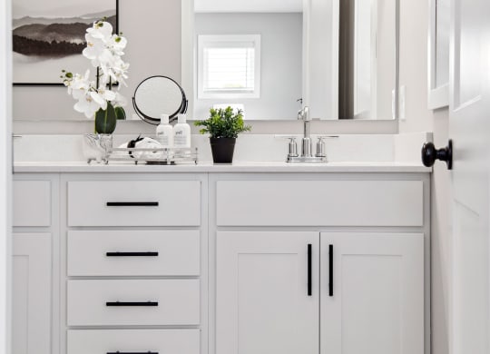 Canvas at Inver Grove _ Bathroom