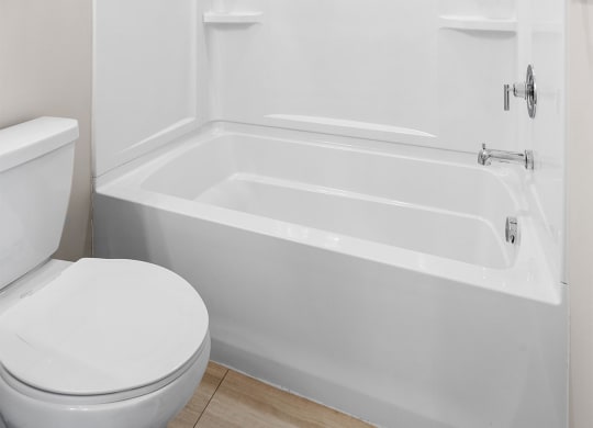 a bathroom with a toilet and a bathtub