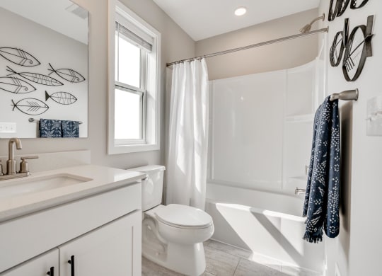 Canvas at St Croix _ Bathroom