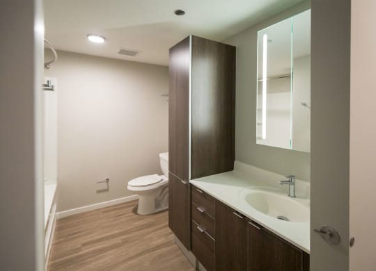 a bathroom with a sink and a toilet