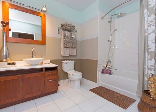 a bathroom with a shower toilet and sink