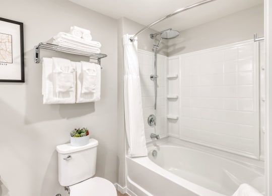 a bathroom with a shower and a toilet and a sink