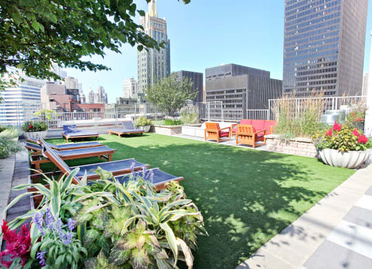 a roof top garden with a lawn and picnic tables