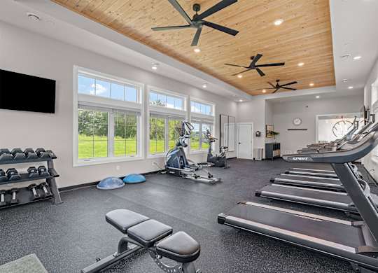 A spacious home gym with treadmills, a bench press, and a television.