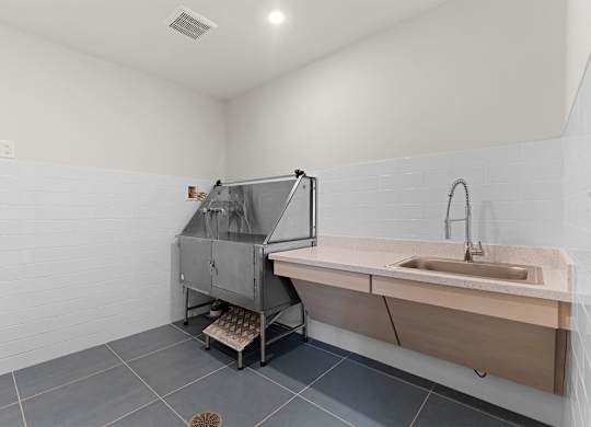 A modern bathroom with a sink and a shower stall.