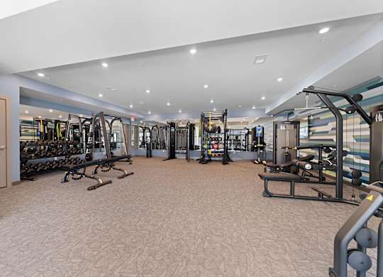 A gym with a variety of equipment including treadmills, weights, and exercise machines.