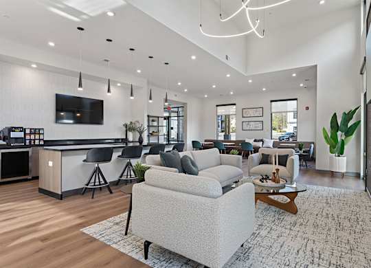 A modern living room with a grey sofa and a wooden coffee table.