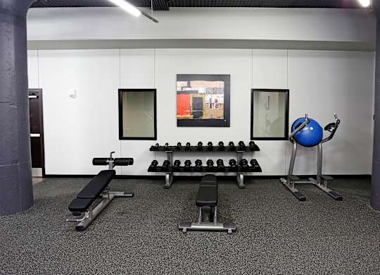 A gym with a bench, weights, and a ball.