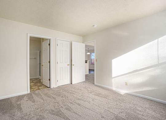 The Vista Apartments and Townhomes