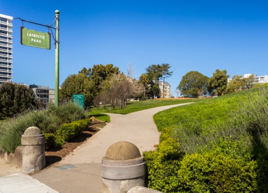 a path through a park with trees and buildings in the background