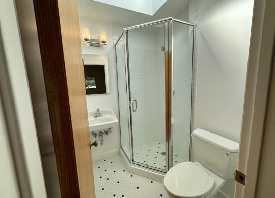 a bathroom with a shower and a sink