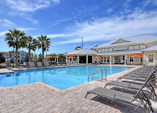A large outdoor swimming pool surrounded by sun loungers and palm trees.