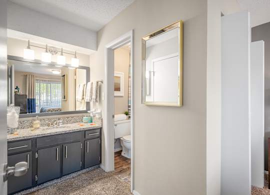 bathroom with designer lighting and granite countertops at 701 South Apartments in Mobile, AL