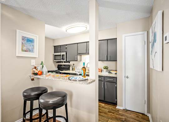 open-concept kitchen with bar at 701 South Apartments in Mobile, AL