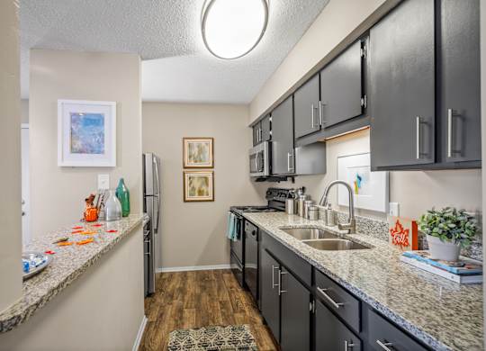 a kitchen with granite counter tops and dark cabinets at 701 South Apartments in Mobile, AL