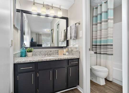 A bathroom with a sink, mirror, and toilet.