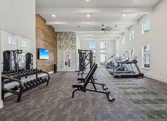 A gym with a variety of equipment including treadmills, weights, and a flat screen TV.