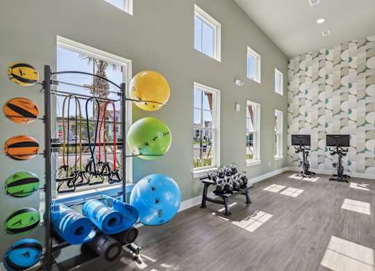 A room with a wall of exercise balls and a rack of exercise equipment.