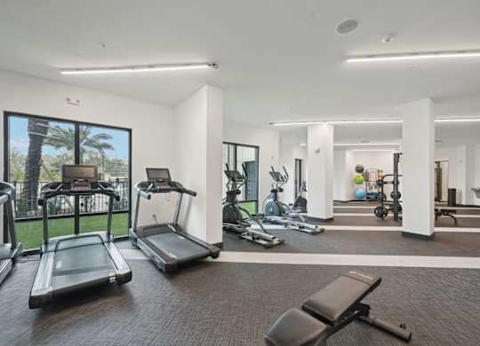 Club-quality fitness center with cardio and strength training equipment at Tapestry University Park in Sarasota, FL