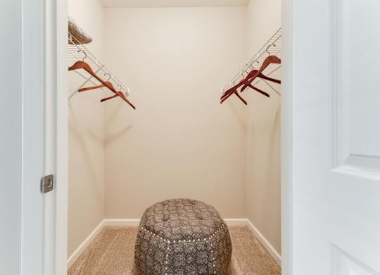 Large Closet Space at Austin Place Apartments