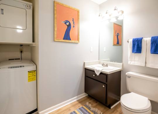 en-suite bathroom with stackable washer/dryer at Saddlebrook at Tates Creek Apartments in Lexington, KY