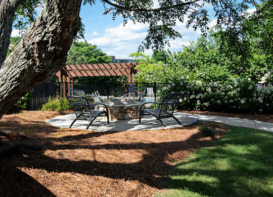 picnic area at Avia Apartments in Vestavia Hills, AL